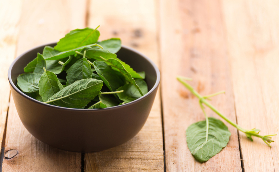 Herbal Hills Tulsi Powder 1 kg