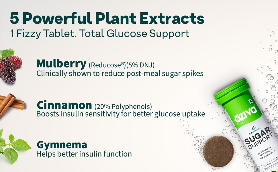 OZiva Sugar Support Effervescent, Blood Sugar Control, 15 Tabs