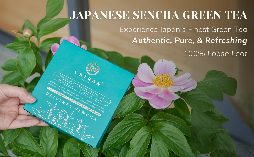 CHIRAN Japanese Sencha Green Tea — Loose Leaf 50g (~25 Cups) | Japan's Most Popular Tea | Cold or Hot Brew | Imported from Kagoshima | Light, Grassy, Naturally Umami