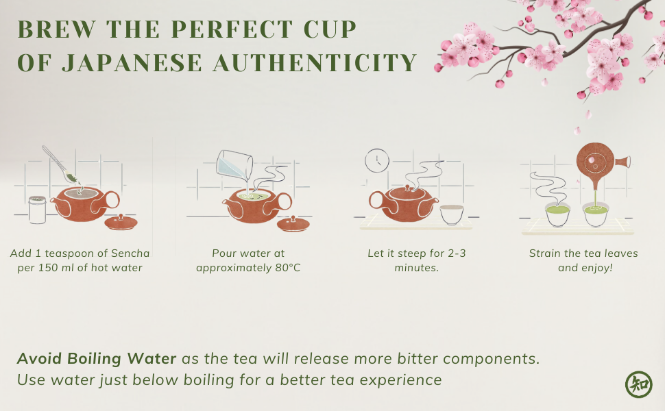 CHIRAN Japanese Sencha Green Tea — Loose Leaf 50g (~25 Cups) | Japan's Most Popular Tea | Cold or Hot Brew | Imported from Kagoshima | Light, Grassy, Naturally Umami