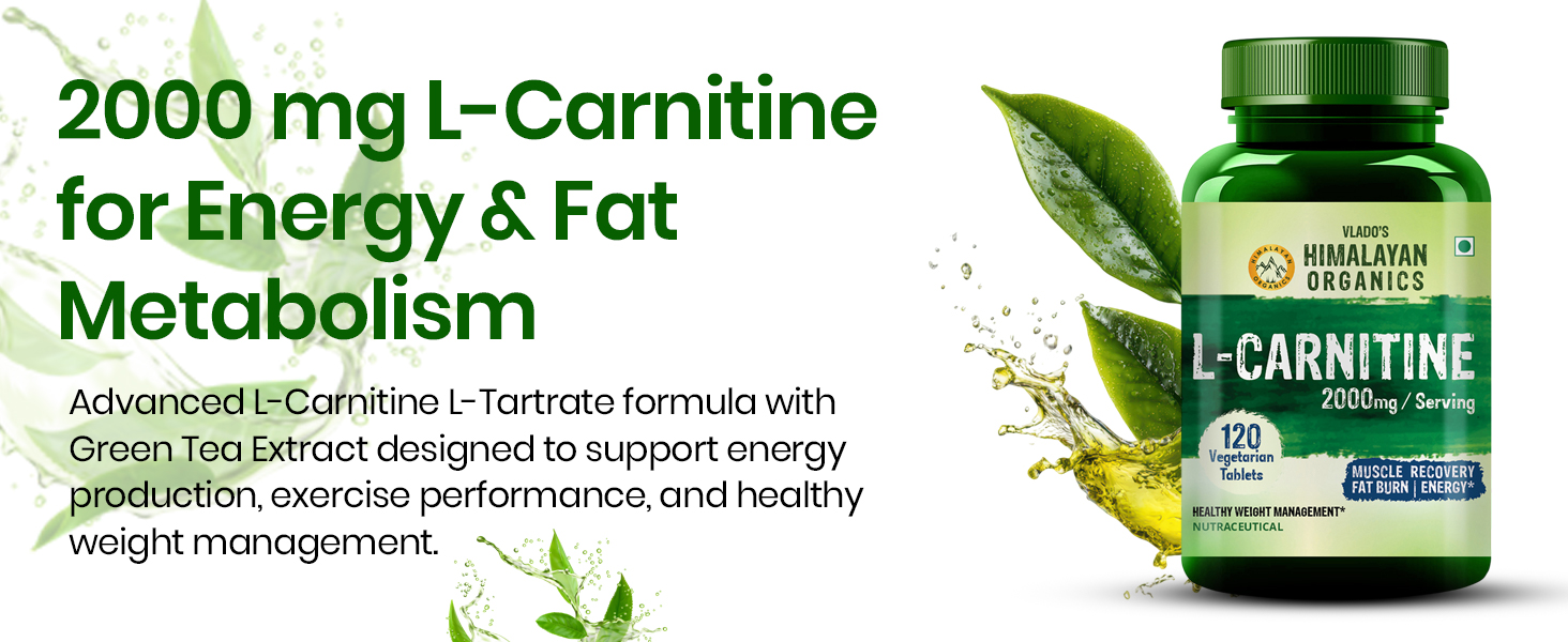 Vlado’s HIMALAYAN ORGANICS L-Carnitine L-Tartrate With Green Tea Extract 2000 Mg | Healthy Weight Management | Supports Muscle Recovery, Boost Energy, Endurance And Fat Burn -120 Vegetarian Tablets