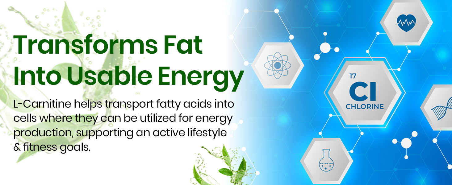 Vlado’s HIMALAYAN ORGANICS L-Carnitine L-Tartrate With Green Tea Extract 2000 Mg | Healthy Weight Management | Supports Muscle Recovery, Boost Energy, Endurance And Fat Burn -120 Vegetarian Tablets