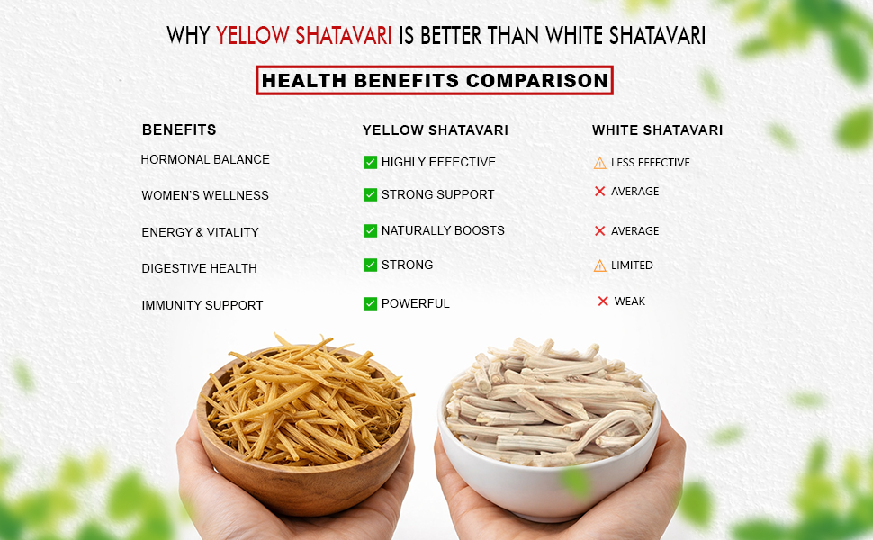 BrijBooti Shatavari Root 100 Gr Raw Indian Asparagus Racemosus Yellow Shatawar Organic satawari Pure Yellow Root - Natural Satavar | FSSAI, GMP, ISO Certified