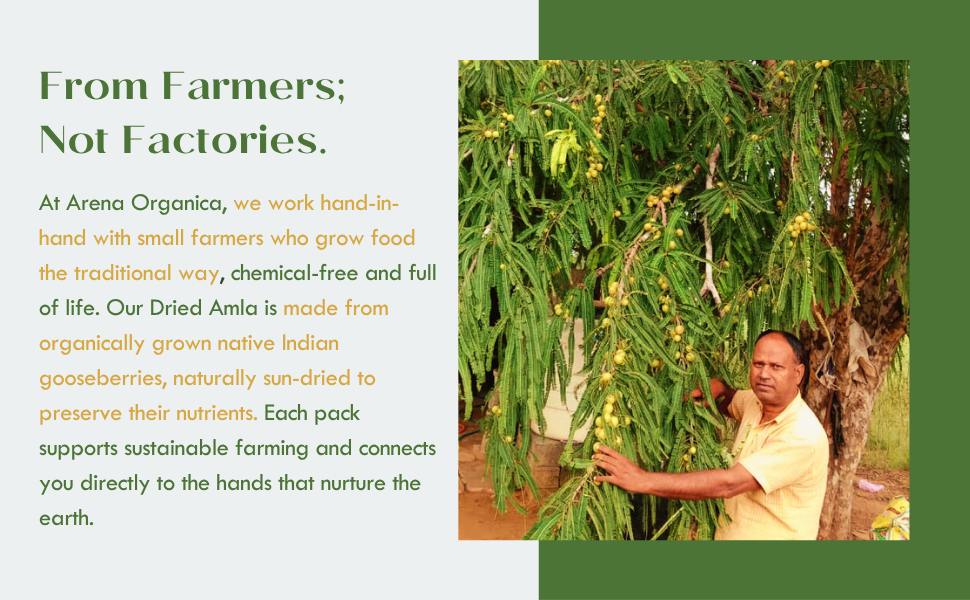Arena Organica Dried Amla (Aavla/Awla) - 450g | No Added Sugar, No Salt, No Preservatives | Pesticide-Free Native Indian Gooseberry | High Vitamin-C | Dry Amla for Eating, Hair, Skin & Immunity