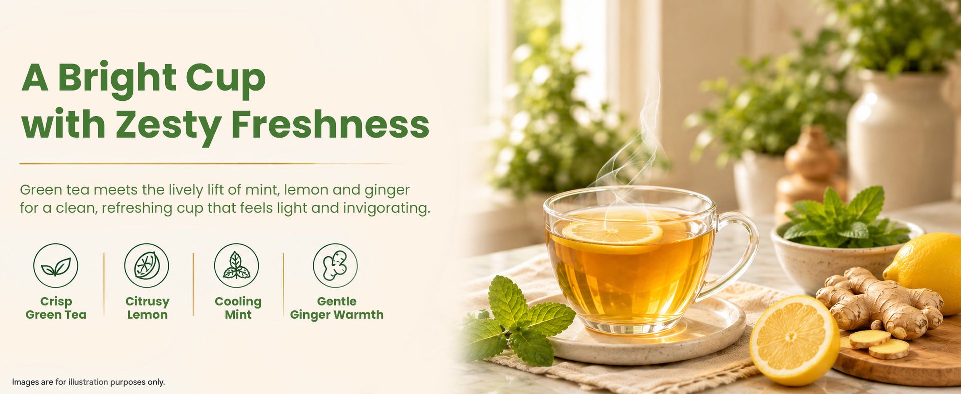 Celest Ginger, Mint & Lemon Green 100 Bags | Ginger, Mint Lemon Green Tea | Pack of 3
