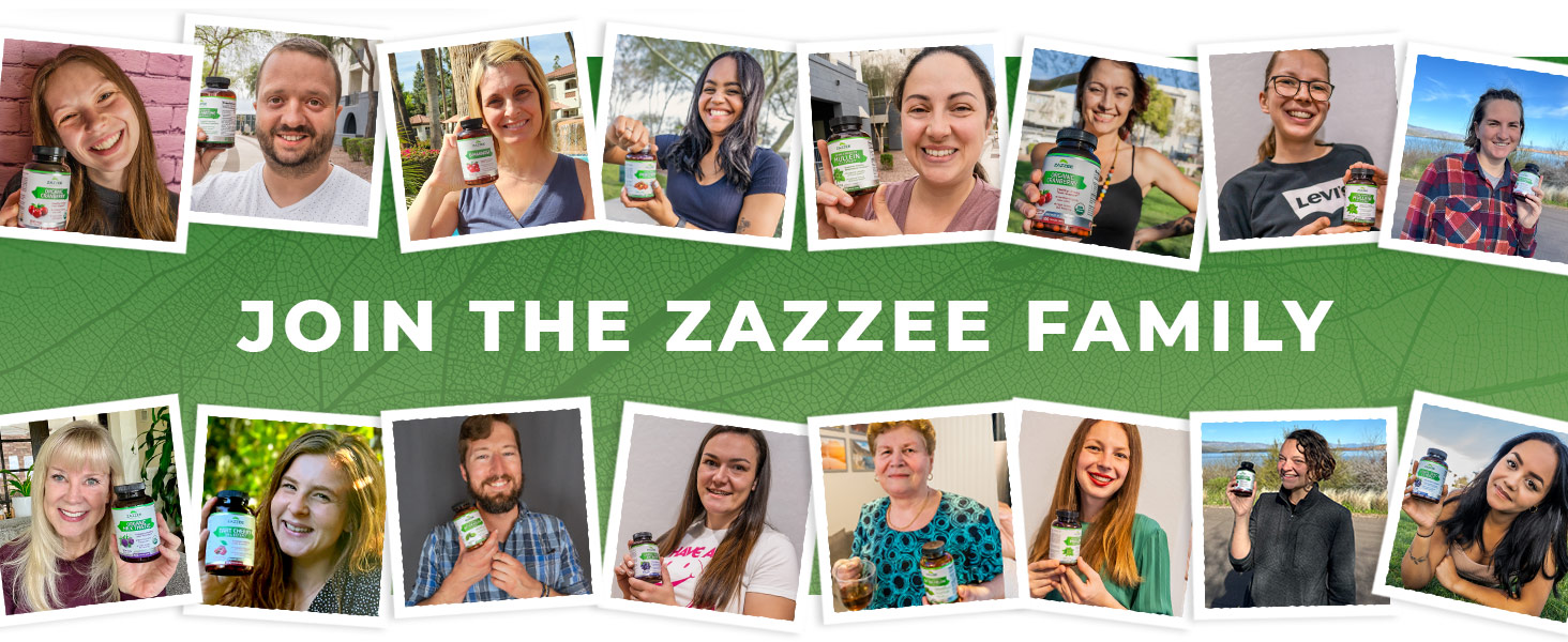 Zazzee Extra Strength St. John’s Wort 20:1 Extract, 0.3% Hypericin, Vegan