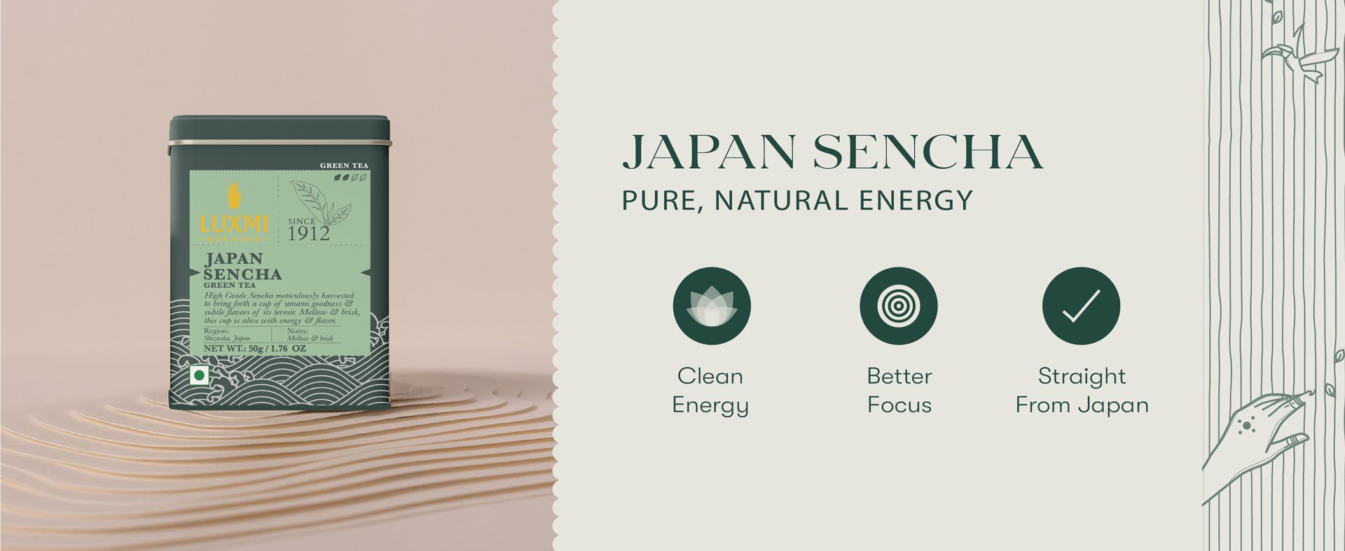 Luxmi Estates Japanese Sencha Green Tea | Authentic Japanese Sencha | Mild, Rich & Refreshing Premium Chai, 50 Grams | Improve Metabolism | Antioxidant-Rich Wellness Tea