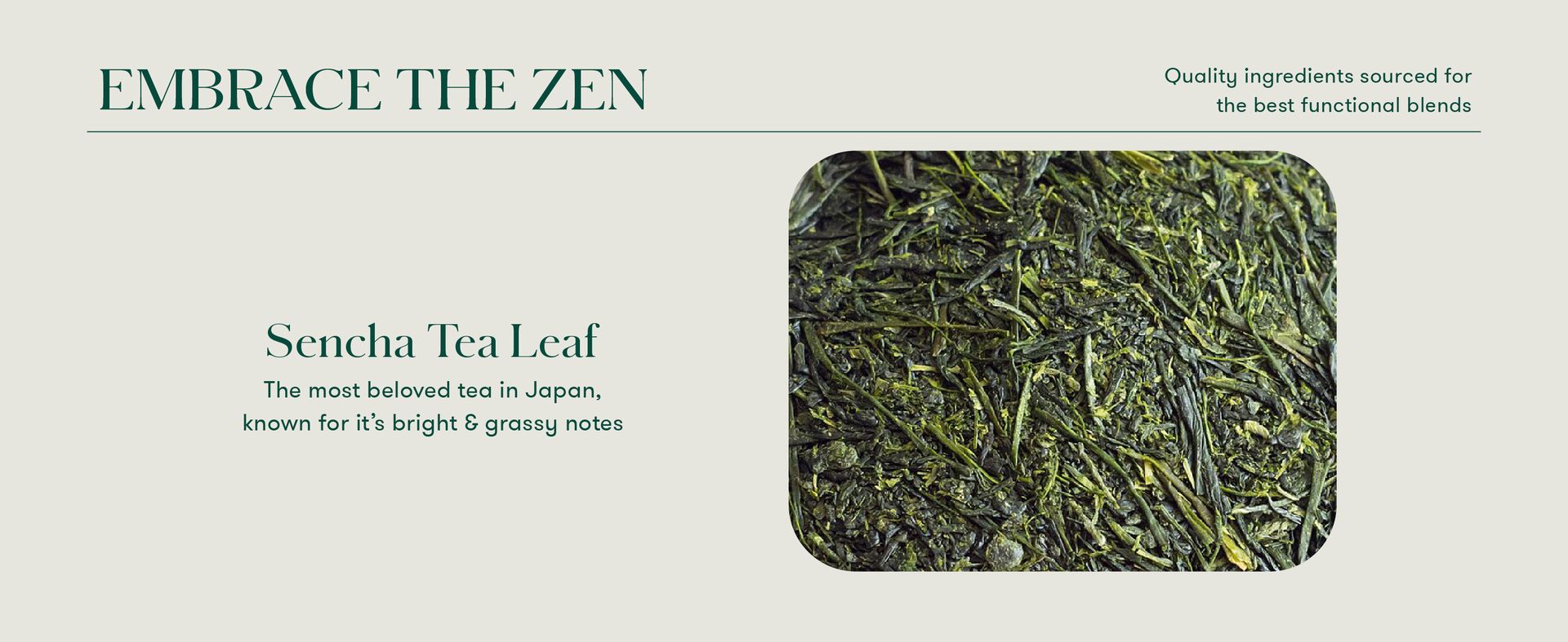 Luxmi Estates Japanese Sencha Green Tea | Authentic Japanese Sencha | Mild, Rich & Refreshing Premium Chai, 50 Grams | Improve Metabolism | Antioxidant-Rich Wellness Tea