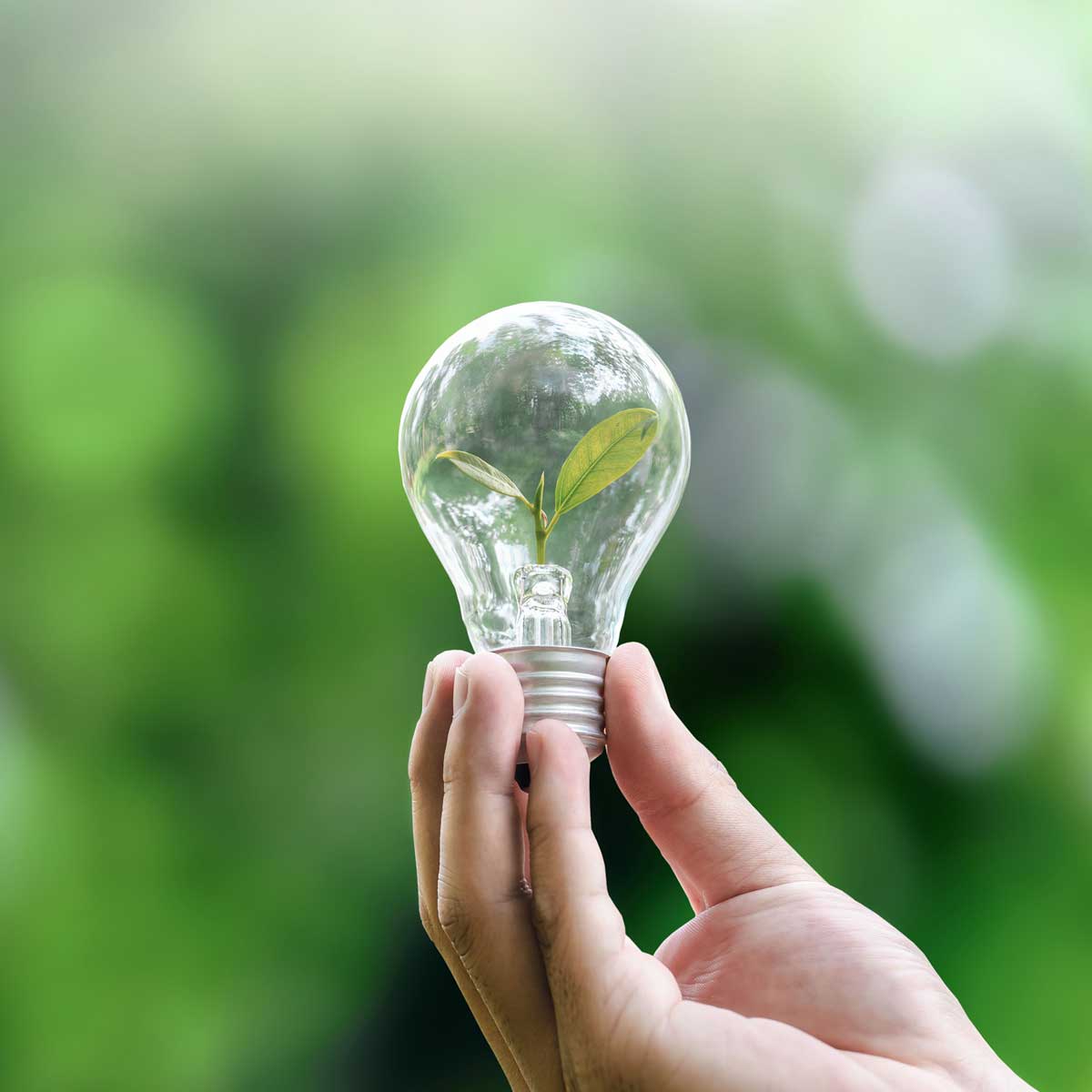Merlion Naturals Trikatu Tablets ( Ginger, Black Pepper & Pippali ), All Natural, Pure Herbs 500mg x 120 Tablets