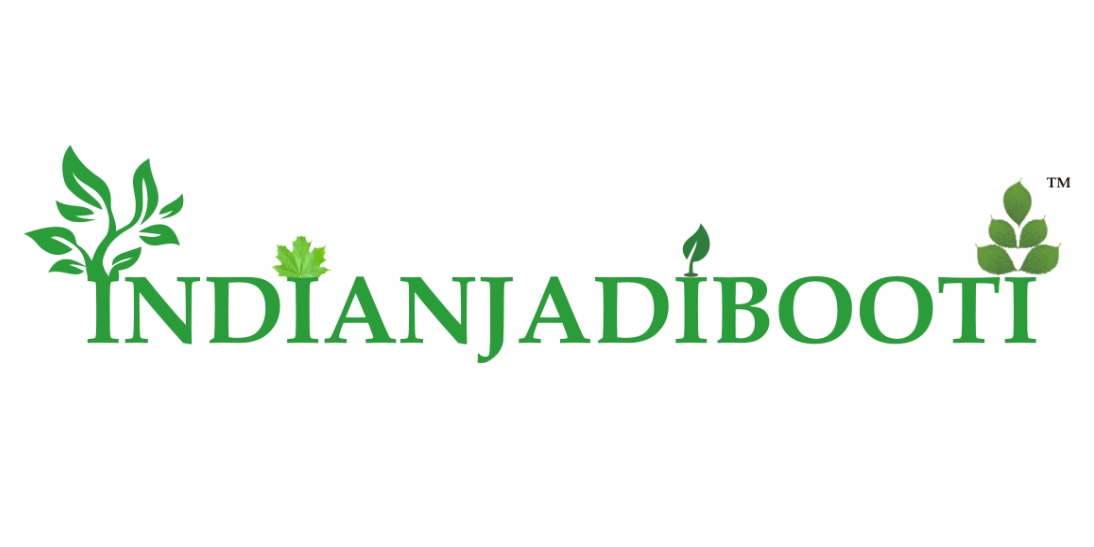 IndianJadiBooti Pure Amba Haldi Whole (Curcuma Amada) | Raw Mango Ginger Roots for DIY Grinding, Oil Infusions, Skincare & Joint Comfort | 250 Grams