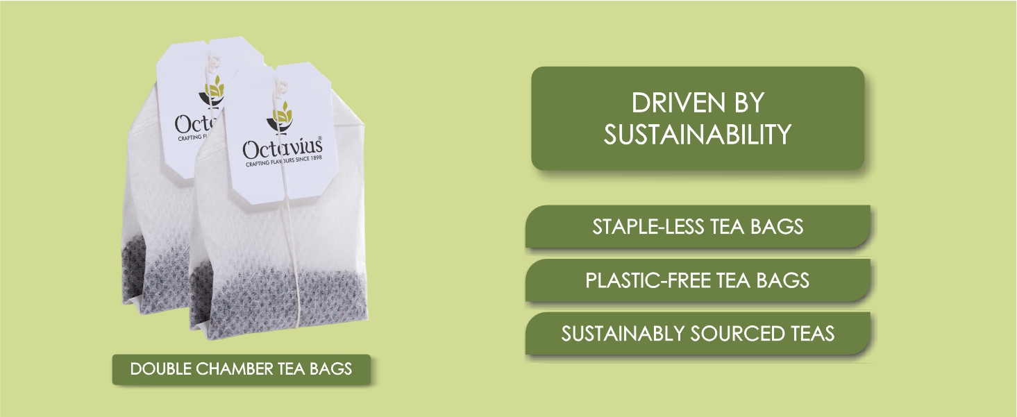 Octavius Pure Green Tea Bags - 200 Pieces | 100% Natural | Antioxidant-rich | Reduces Waist | Detox Green Tea Bag (1.7 gm x 200 Bags)
