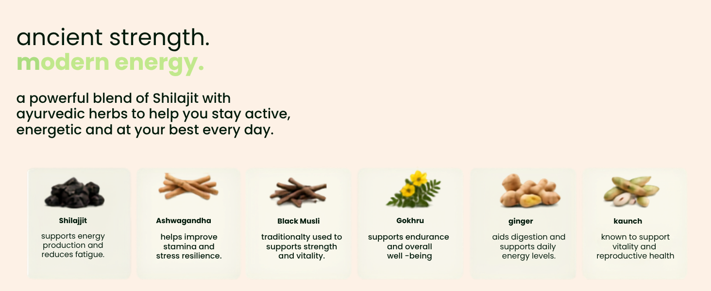 Daily Ignite, Shilajit Gummies, For Adults, Supports Energy, Endurance and Vitality, 30 Gummies