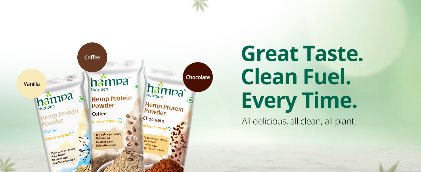 Hampa Hemp protein Bar 50g | Dark Chocolate Flavour | 10g Plant Protein | No Whey, Vegan Friendly | No Added Sugar, Sweetened with Dates | Anytime Snack with Edestine Protein | Pack of 3