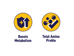 STROOM Protein Bar | Choco Almond Bliss | Pack Of 5 Bars