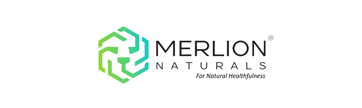 Merlion Naturals Bhumi Amla Tablets, Phyllanthus niruri, 500mg (120 Tablets)