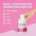 swedish-nutra-12-500mg-liquid-marine-col-2.jpg