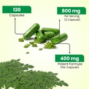pure-moringa-capsules-pure-moringa-leaf--6.jpg