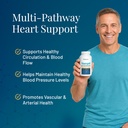 blood-pressure-support-vitamin-supplemen-4.jpg