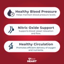 blood-pressure-support-supplement-8-us-p-2.jpg