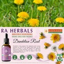 ra-herbals-organic-dandelion-root-liquid-3.jpg