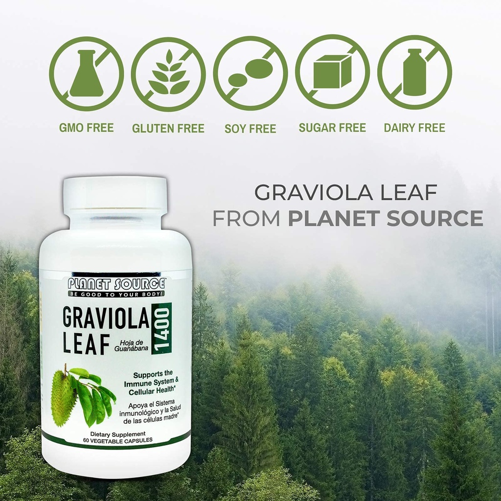 graviola-leaf-annona-muritcata-soursop-i-4.jpg