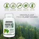 graviola-leaf-annona-muritcata-soursop-i-4.jpg