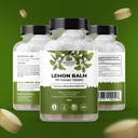 amazing-botanicals-lemon-balm-10x-extrac-3.jpg
