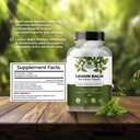 amazing-botanicals-lemon-balm-10x-extrac-4.jpg