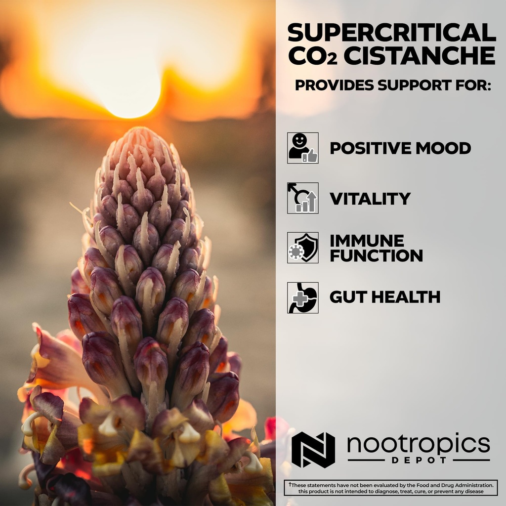nootropics-depot-cistanche-supercritical-4.jpg