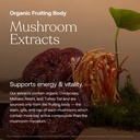 true-grace-one-daily-men-s-multivitamin--4.jpg