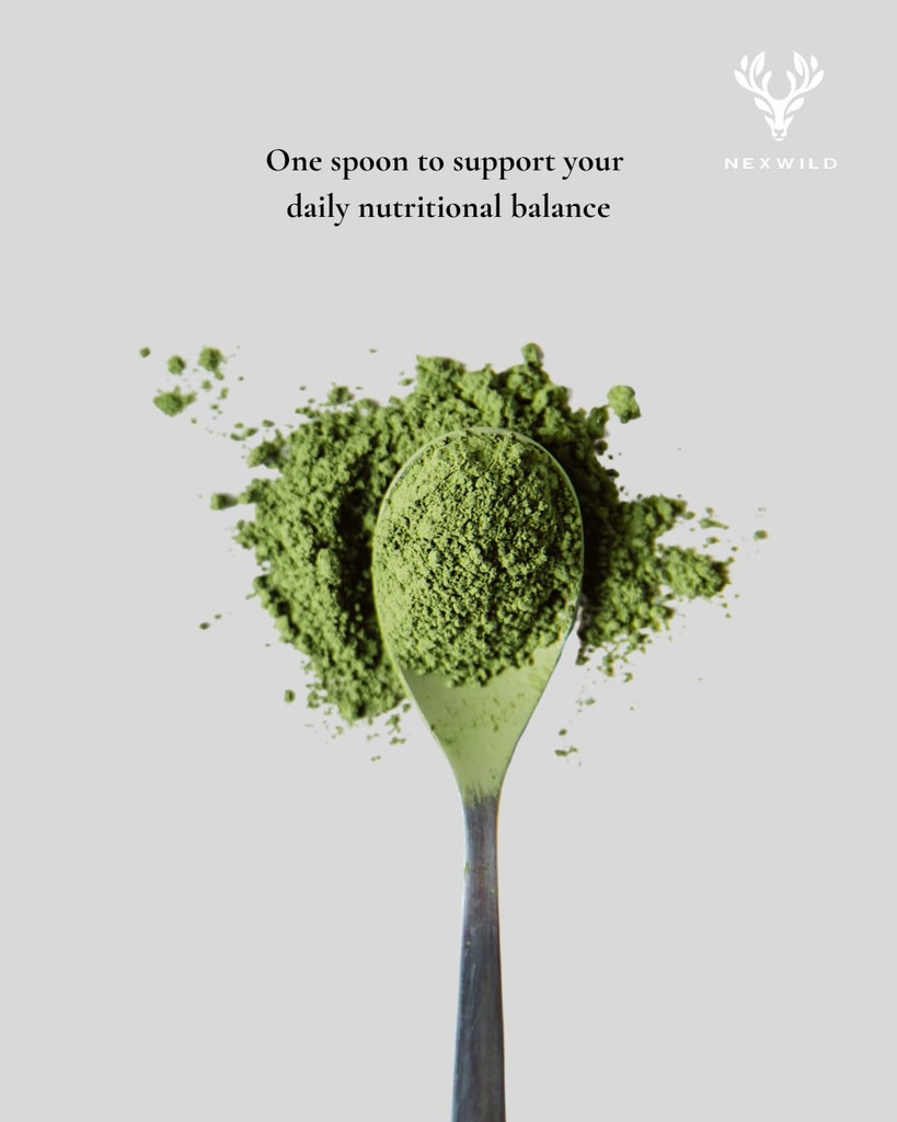moringa-oleifera-leaf-powder-quality-nut-6.jpg