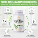 moringa-oleifera-250-capsules-5000mg-mor-6.jpg