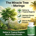 moringa-capsules-sustained-energy-immune-3.jpg