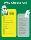chanca-piedra-500mg-120-plant-based-caps-3.jpg