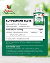 chanca-piedra-500mg-120-plant-based-caps-2.jpg