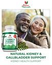 chanca-piedra-500mg-120-plant-based-caps-4.jpg