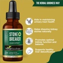 herbal-goodness-chanca-piedra-stone-brea-2.jpg