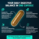 digestive-support-supplement-probiotics--4.jpg