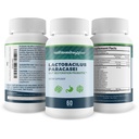 lactobacillus-paracasei-gut-restoration--4.jpg