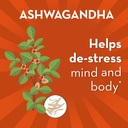 align-probiotic-gut-health-stress-suppor-5.jpg
