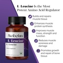 meibotan100-pure-l-leucine-2000mg-muscle-5.jpg