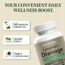 lymphatic-drainage-capsules-lymphatic-dr-5.jpg