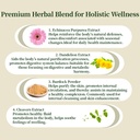 lymphatic-drainage-capsules-lymphatic-dr-4.jpg