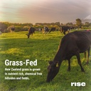 rise-grass-fed-whey-protein-powder-choco-6.jpg