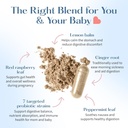 lovebug-prenatal-probiotic-supplement-7--2.jpg