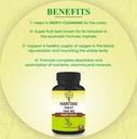 haritaki-tablets-90-tablets-1000-mg-45-d-6.jpg
