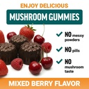 force-factor-modern-mushrooms-gummies-fr-6.jpg