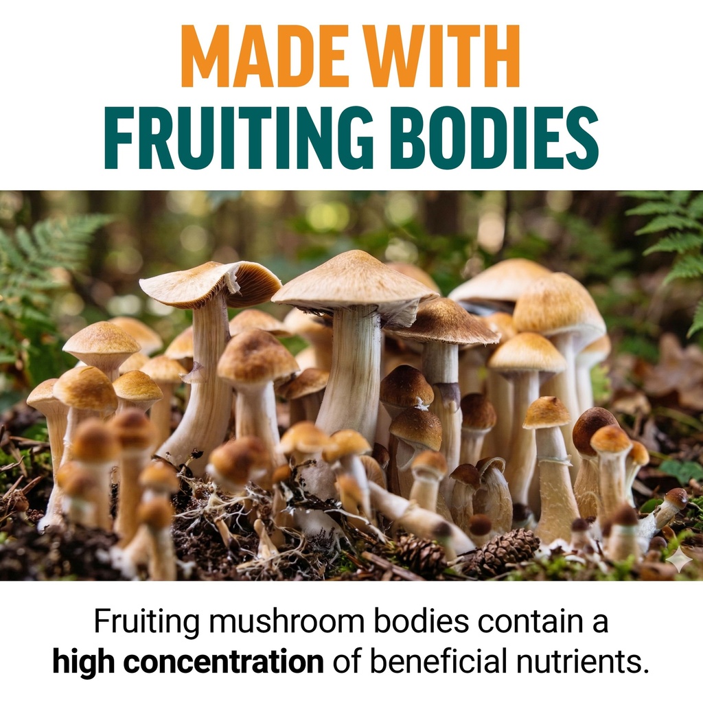 force-factor-modern-mushrooms-gummies-fr-5.jpg