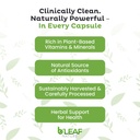 b-leaf-nature-moringa-berberine-bundle-n-5.jpg