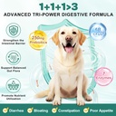 probiotics-for-dogs-dog-probiotics-with--3.jpg